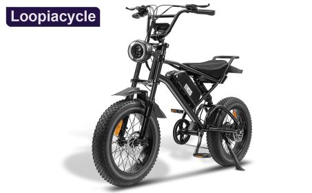 Ebike,1000W Motor,48V15Ah Battery,20 Inches,Maximum Speed 45-50KM (Color: black)